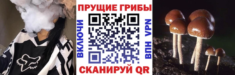 магазин  наркотиков  blacksprut вход  Галлюциногенные грибы MAGIC MUSHROOMS  Окуловка 